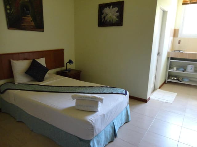 Single Fan Room