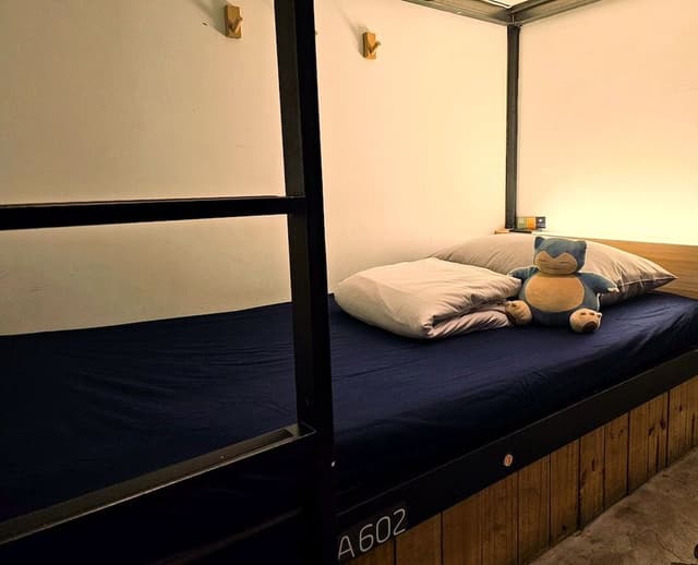 Standard Shared Dormitory, Women only (8 people)
