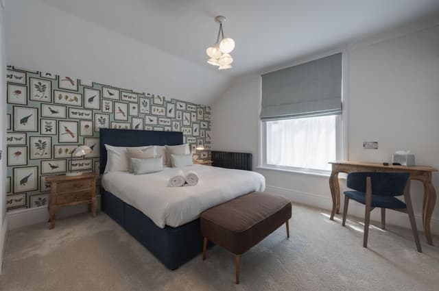 Standard King Room with shower (no bath)