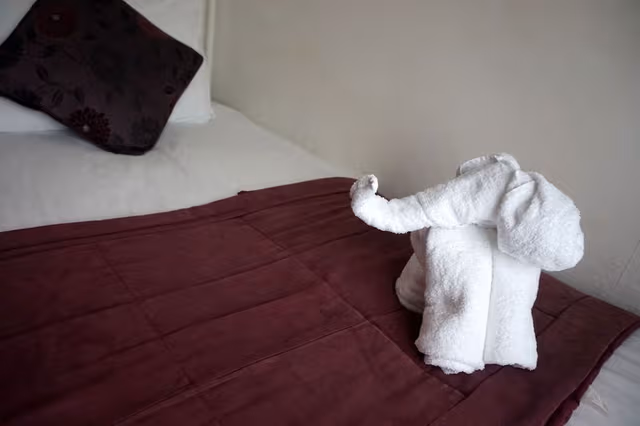 Single Room, Shared Bathroom