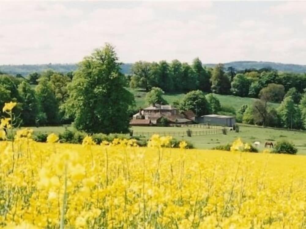 Blounts Court Farm - B&B1