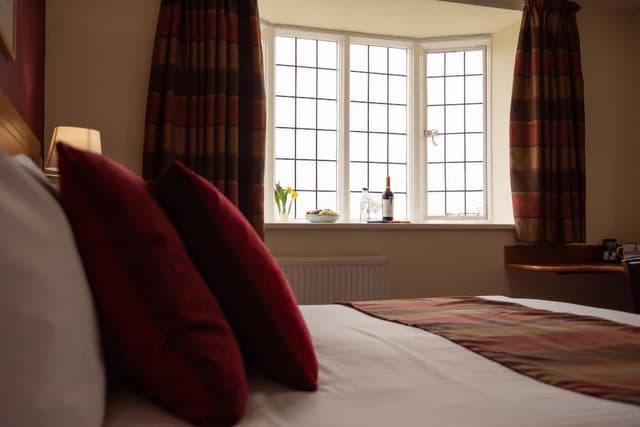 Executive Room (King)