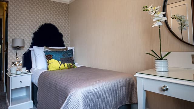 Superior Single Room