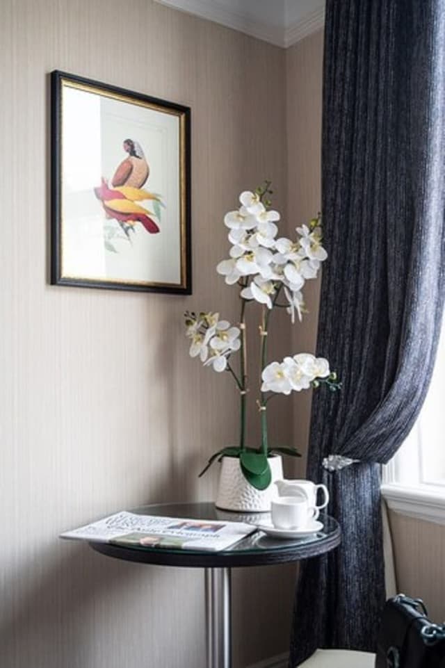 Superior Single Room