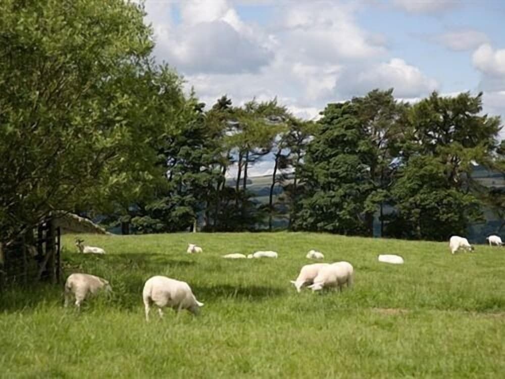 Rye Hill Farm0