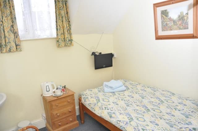Deluxe Single Room, 1 Twin Bed, Non Smoking