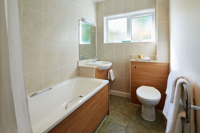 Premium Double Room, 1 King Bed