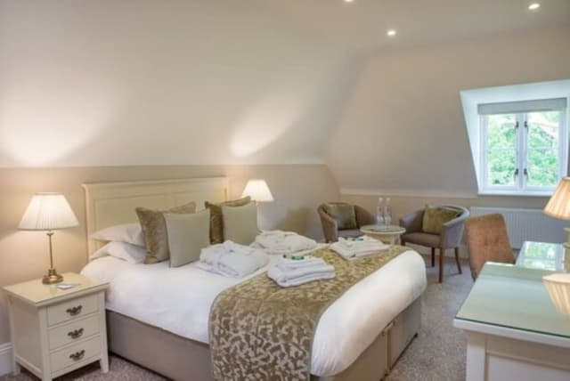 Deluxe Double Room Single Use