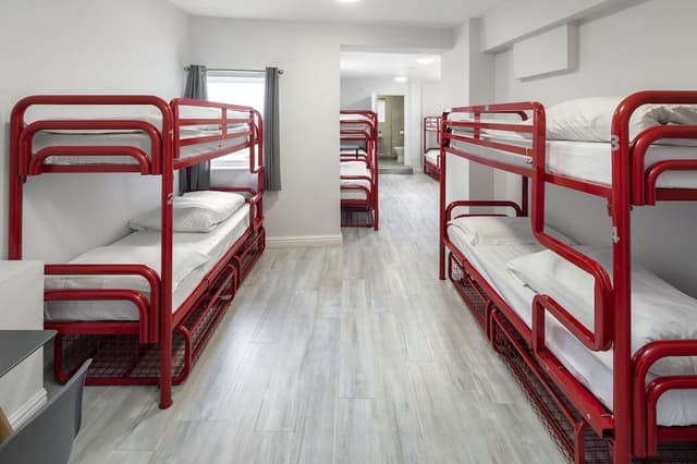 Bed in 12-bed mixed dormitory room