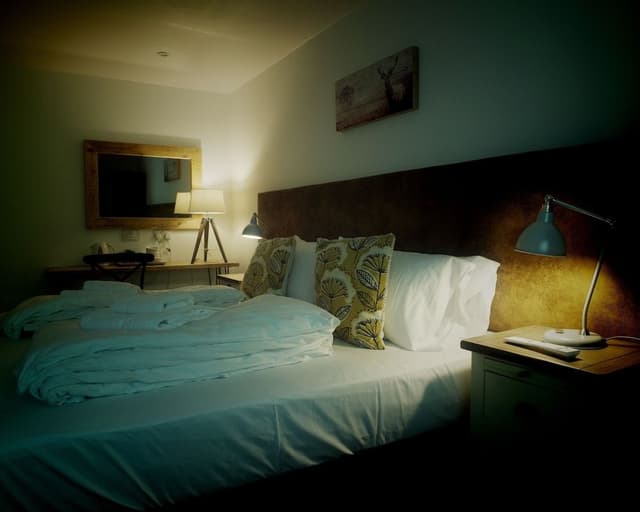 Room 3 (Dog Friendly Room)