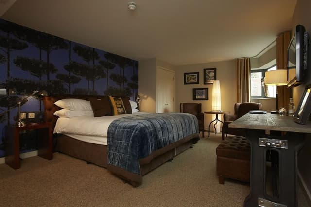Superior Double or Twin Room