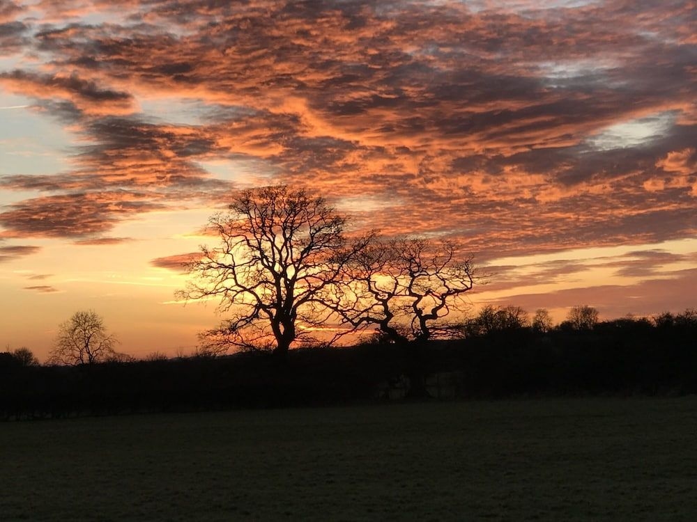 Brickfields Farm0