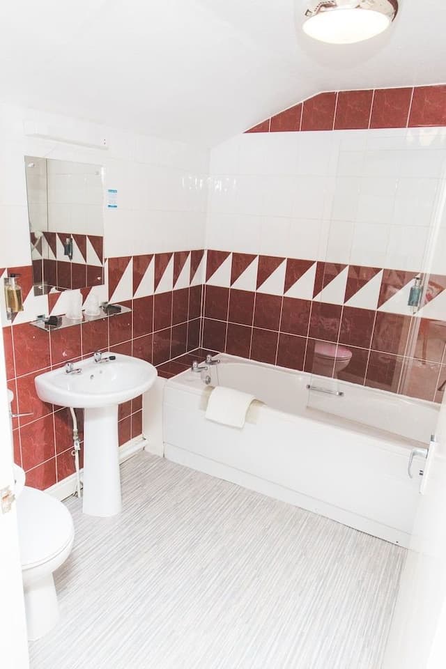 Room, 1 King Bed