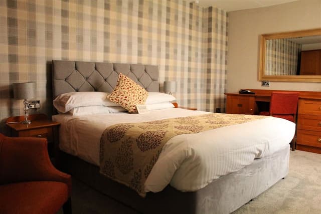 Room, 1 King Bed