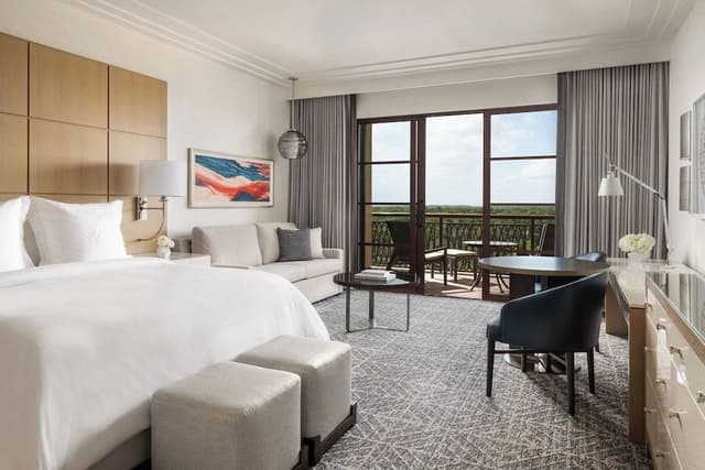 Room, 1 King Bed, Park View
