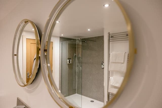 Superior Suite, Ensuite (Dandelion )