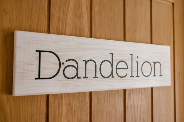 Superior Suite, Ensuite (Dandelion )