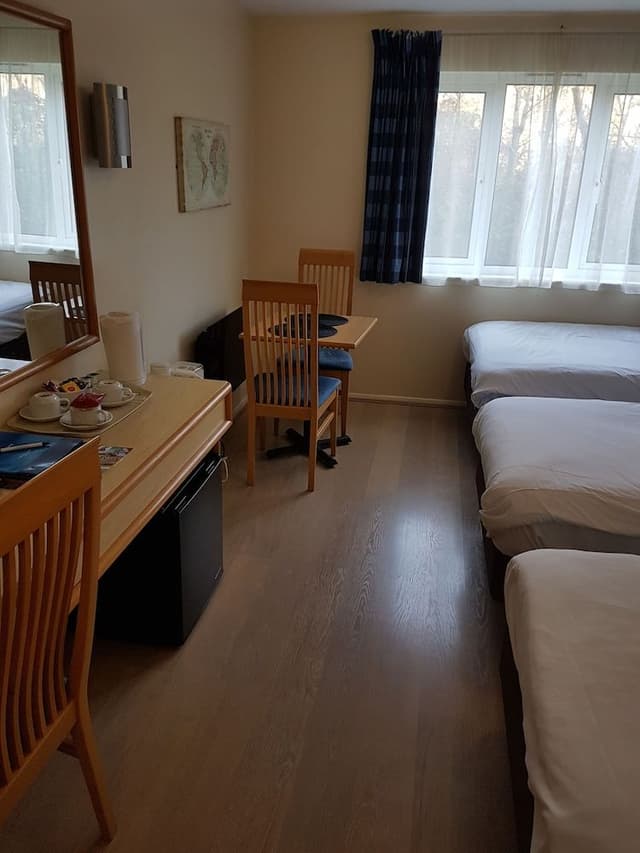 Classic Triple Room (3 Single Beds)