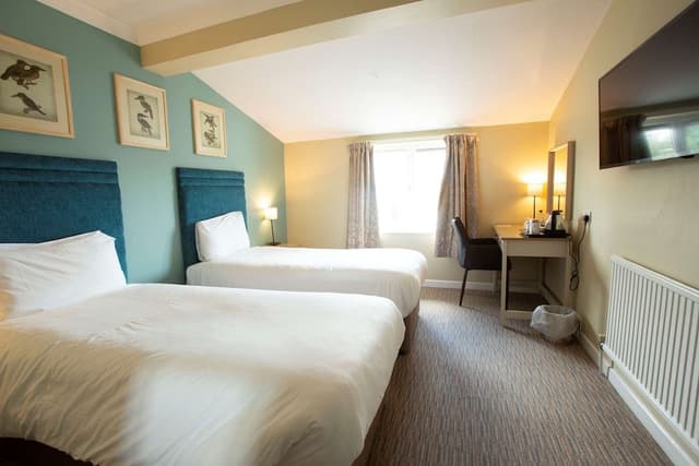 Standard Room, 2 Twin Beds, Accessible (Walk-in Shower)