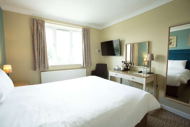 Deluxe Room, 1 King Bed, Non Smoking