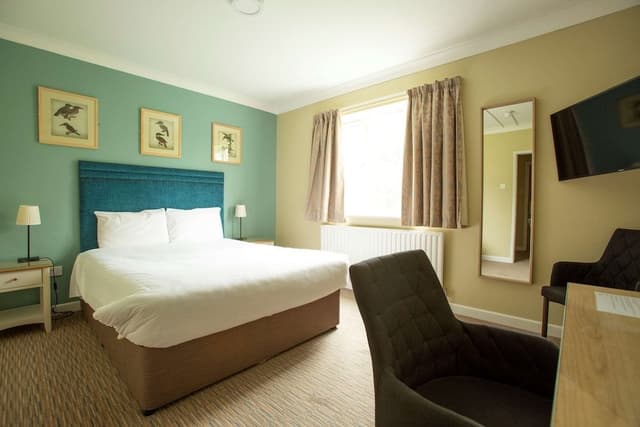 Deluxe Room, 1 King Bed, Non Smoking