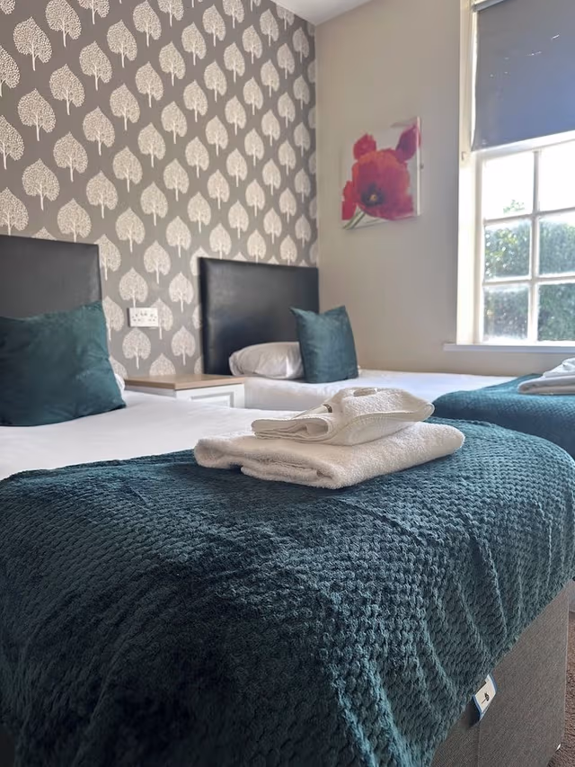 Basic Double or Twin Room