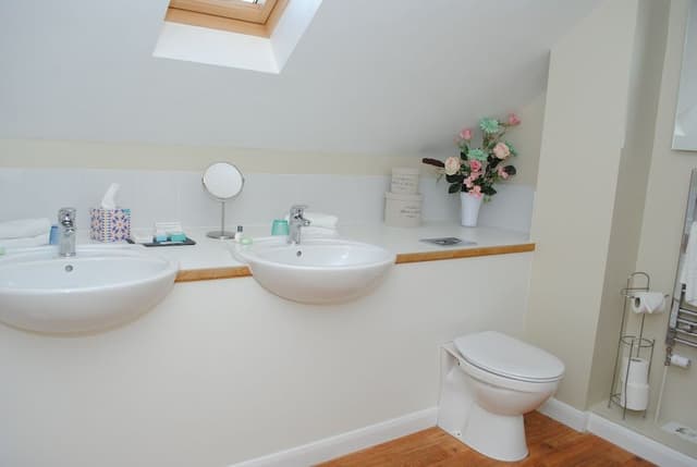 Deluxe Suite, Ensuite (Penthouse )