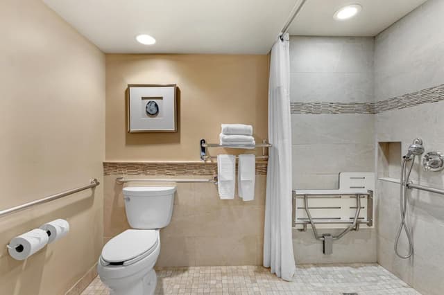 Standard Room, 1 Queen Bed, Accessible (Roll-In Shower)