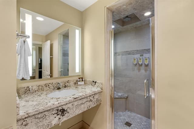 Signature Room, 1 King Bed, Non Smoking, Jetted Tub (with Sofabed)