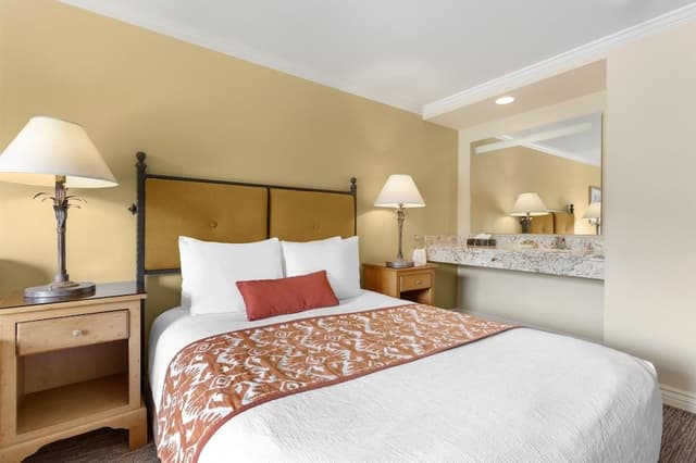 Standard Room, 1 Queen Bed, Accessible (Roll-In Shower)