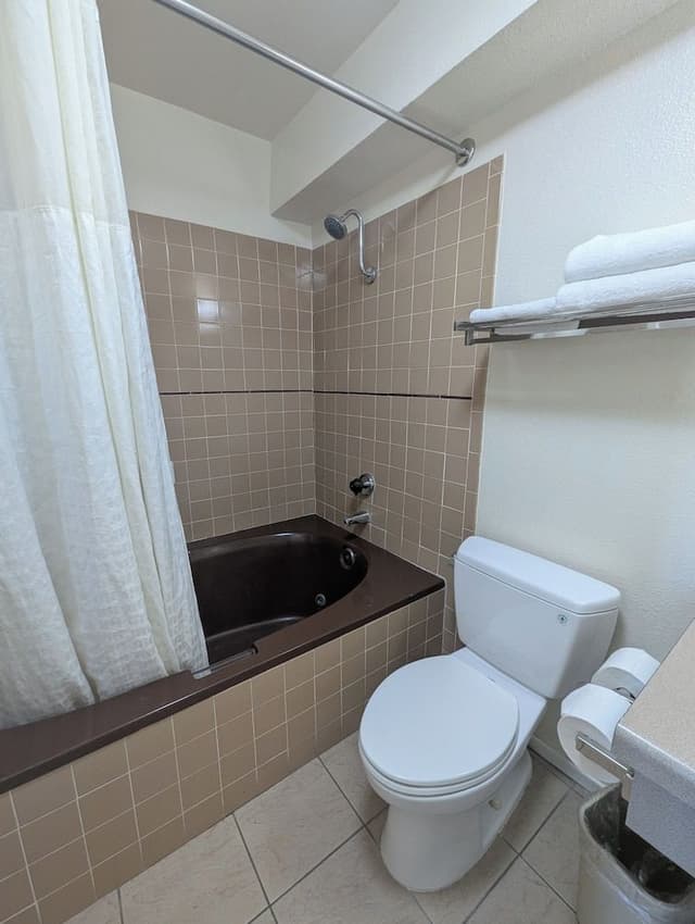 Deluxe Room, 1 King Bed, Jetted Tub, Non-Smoking, Street View (includes 1 parking space)