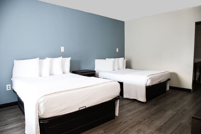Standard Double Room, 2 Double Beds, Non Smoking