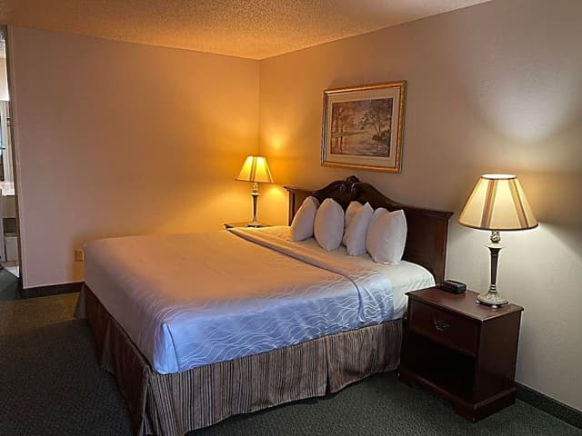 Economy Room, 1 King Bed, Non Smoking