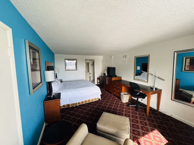 Standard Room, 1 King Bed, Non Smoking