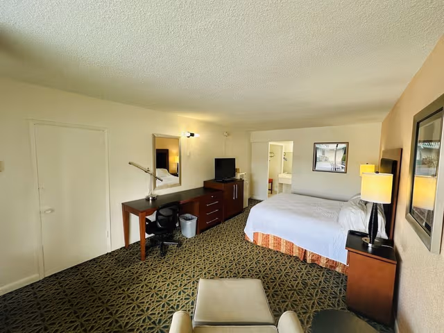 Standard Room, 1 King Bed, Smoking