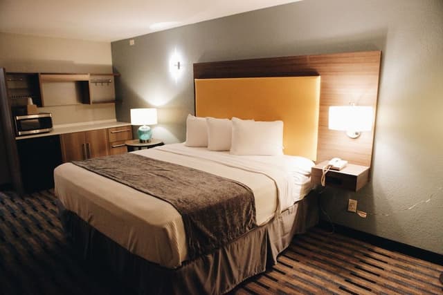 Premium Single Room, 1 King Bed, Non Smoking