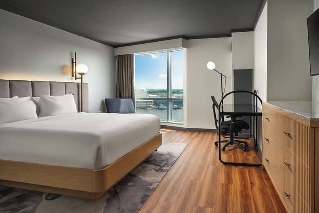 Room, 1 King Bed