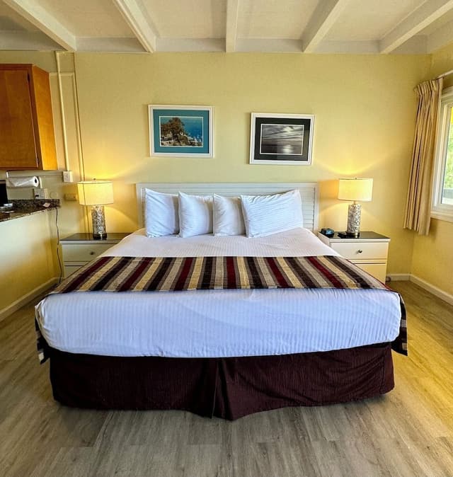 Suite, 1 King Bed