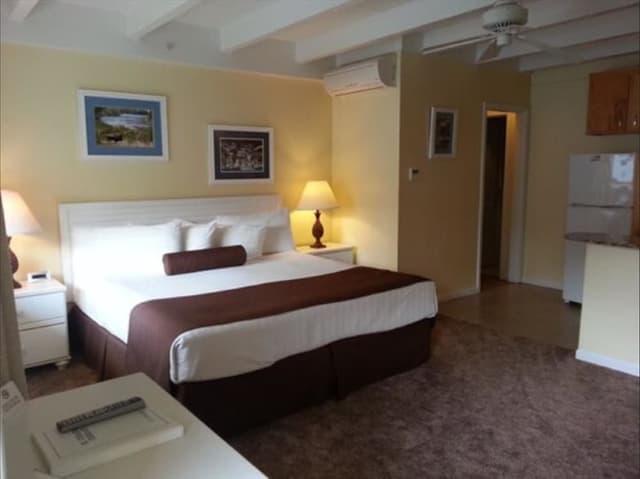 Suite, 1 King Bed