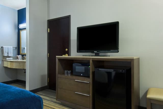 King Suite Sleeper Sofa