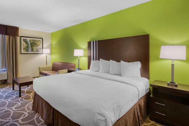 Standard Room, 1 King Bed, Non Smoking, Refrigerator