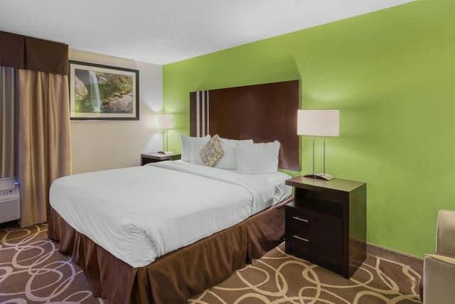Standard Room, 1 King Bed, Accessible, Non Smoking