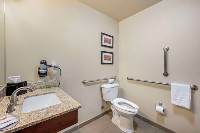 Room, 1 King Bed, Accessible, Non Smoking