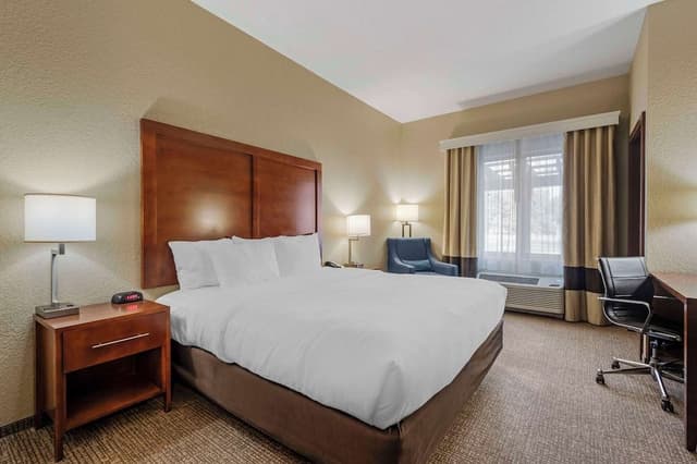 Room, 1 King Bed, Accessible, Non Smoking