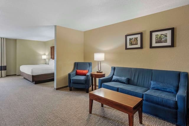 Suite, 1 King Bed with Sofa bed, Non Smoking