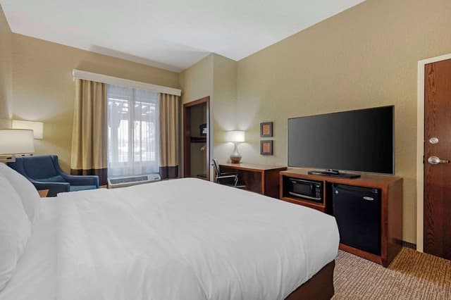 Room, 1 King Bed, Accessible, Non Smoking