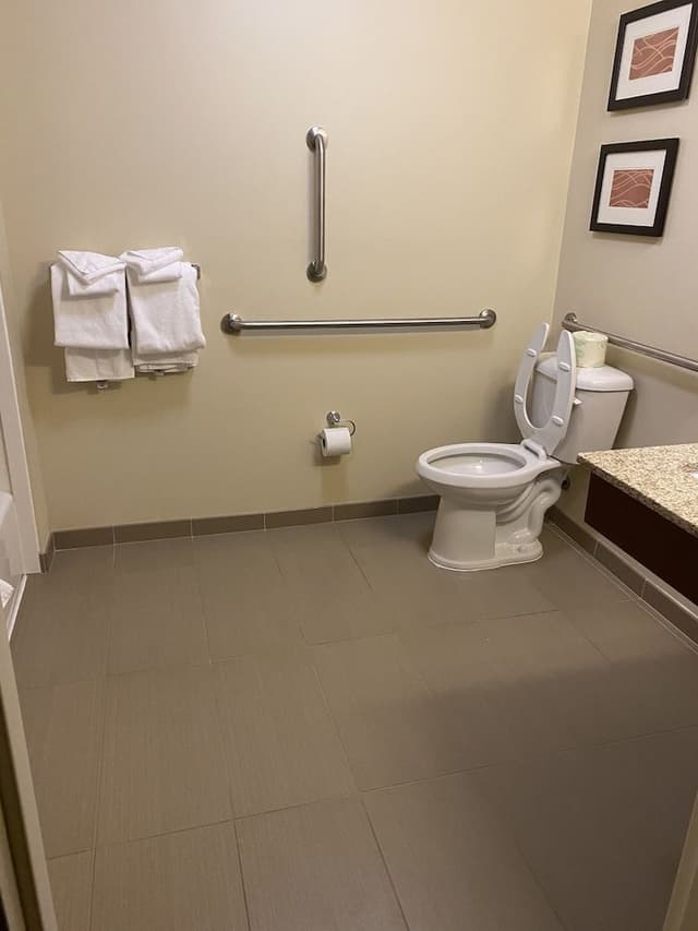 Room, 1 King Bed, Accessible, Non Smoking