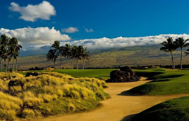 Villa, 1 King Bed with Sofa bed, Golf View (Fairway Villas Waikoloa J21)