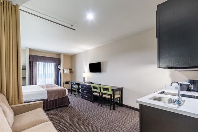 Studio, 1 King Bed with Sofa bed