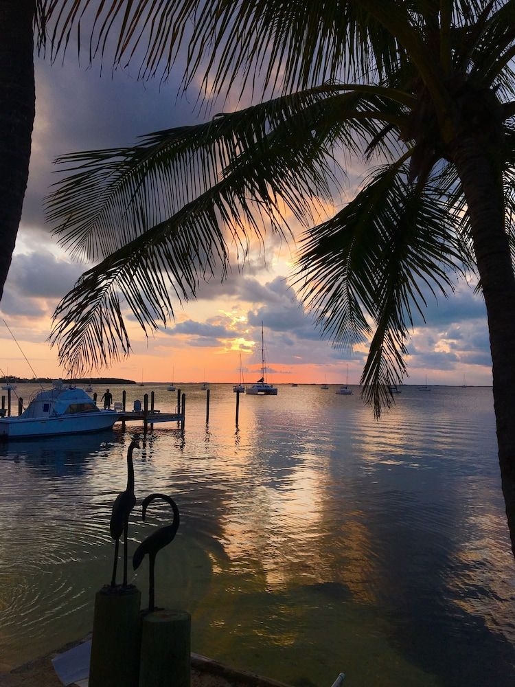 The Pelican Key Largo Cottages0